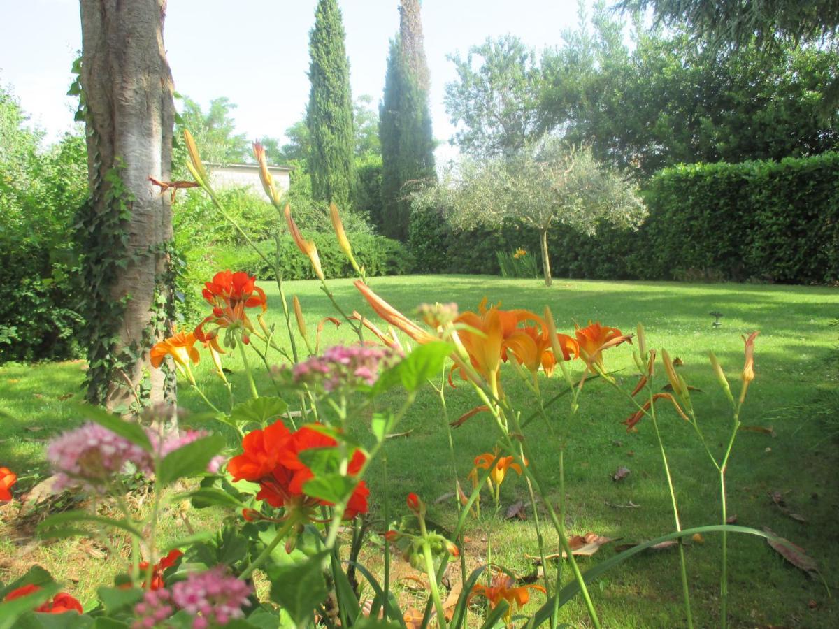 Near Center,beach,bus +free Parking Appartement